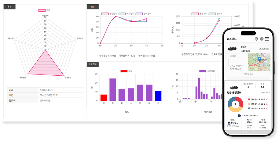 통계 리포트 예시 이미지